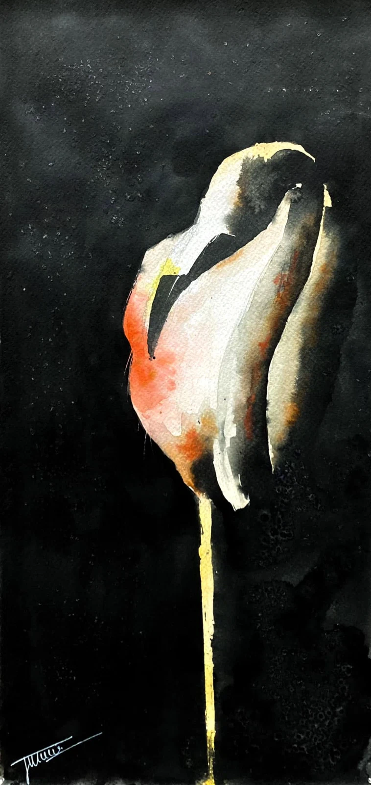 Flamenco, acuarela