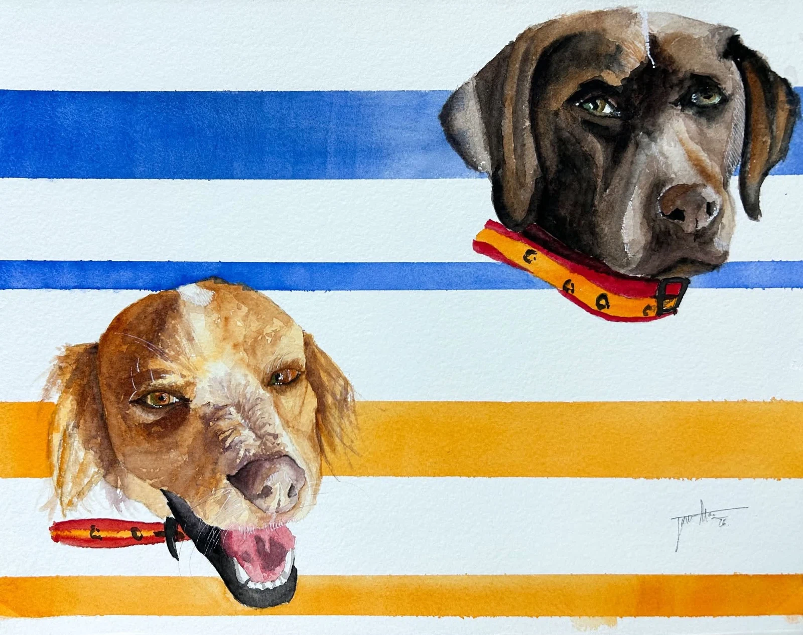 Perros, acuarela