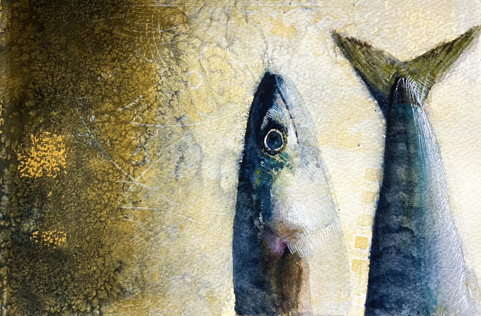 Pescao, acuarela