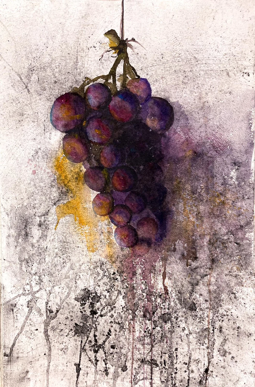 Uvas, acuarela