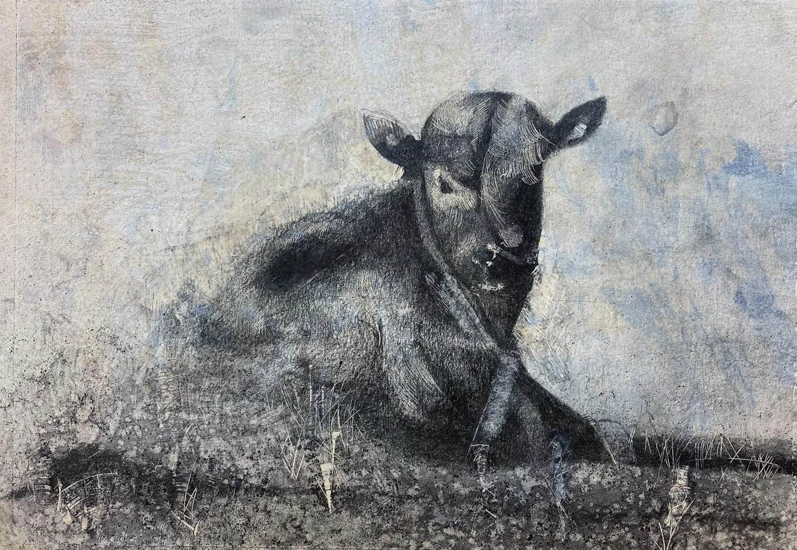 Becerra, dibujo