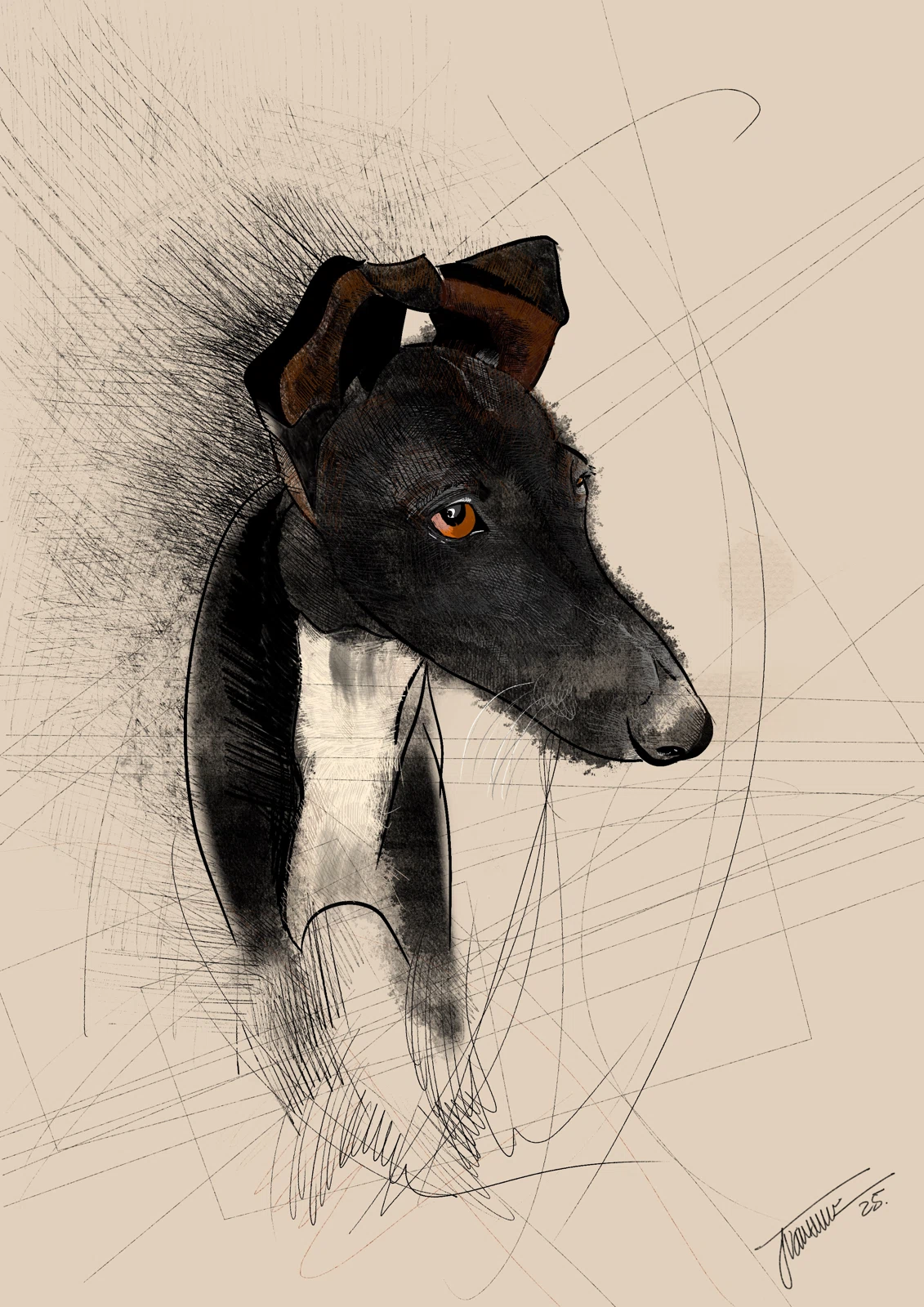 Galga, digital
