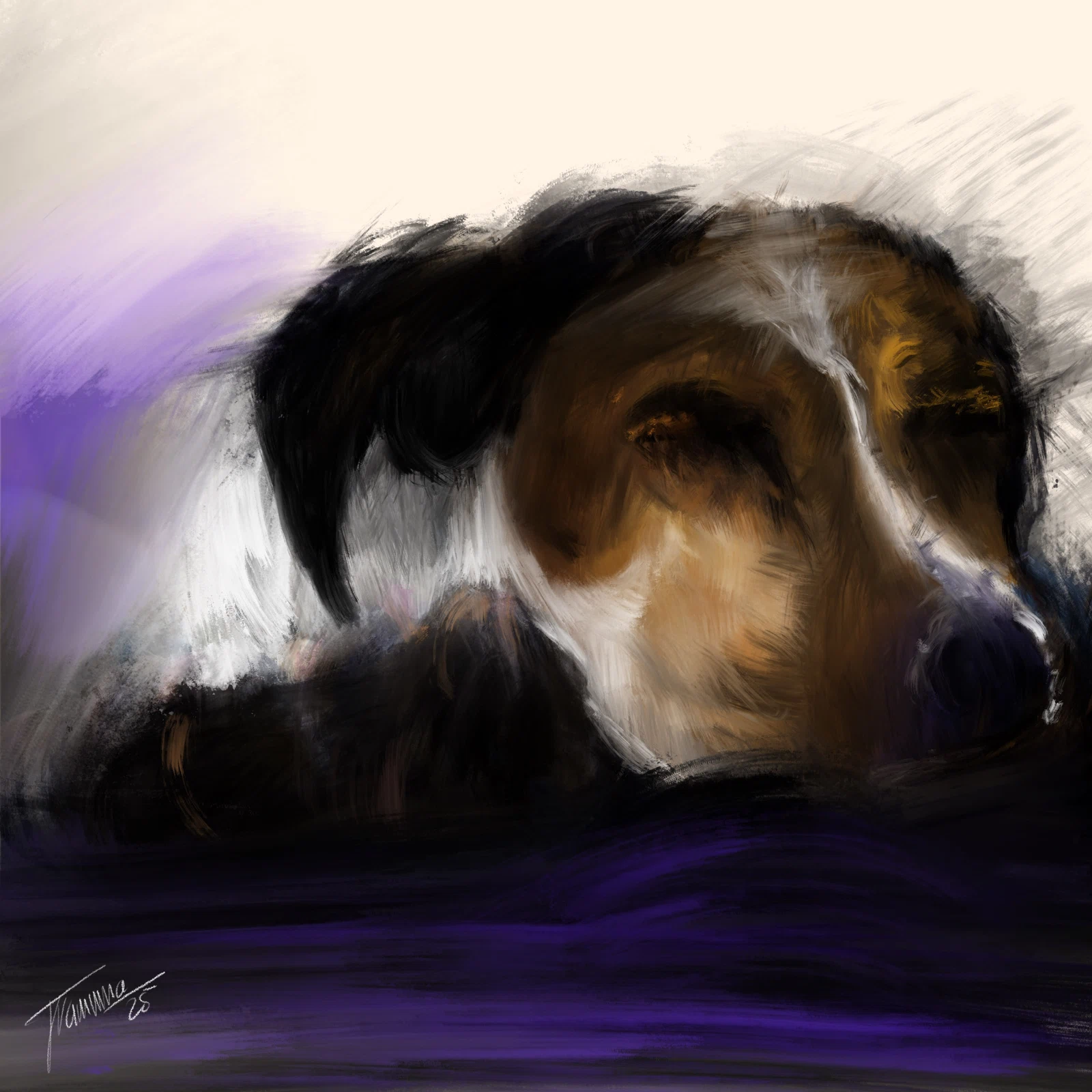 Perro, digital
