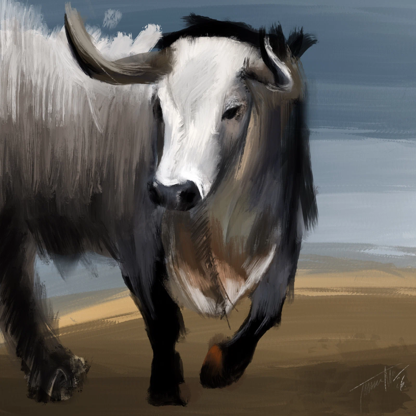 Toro, digital