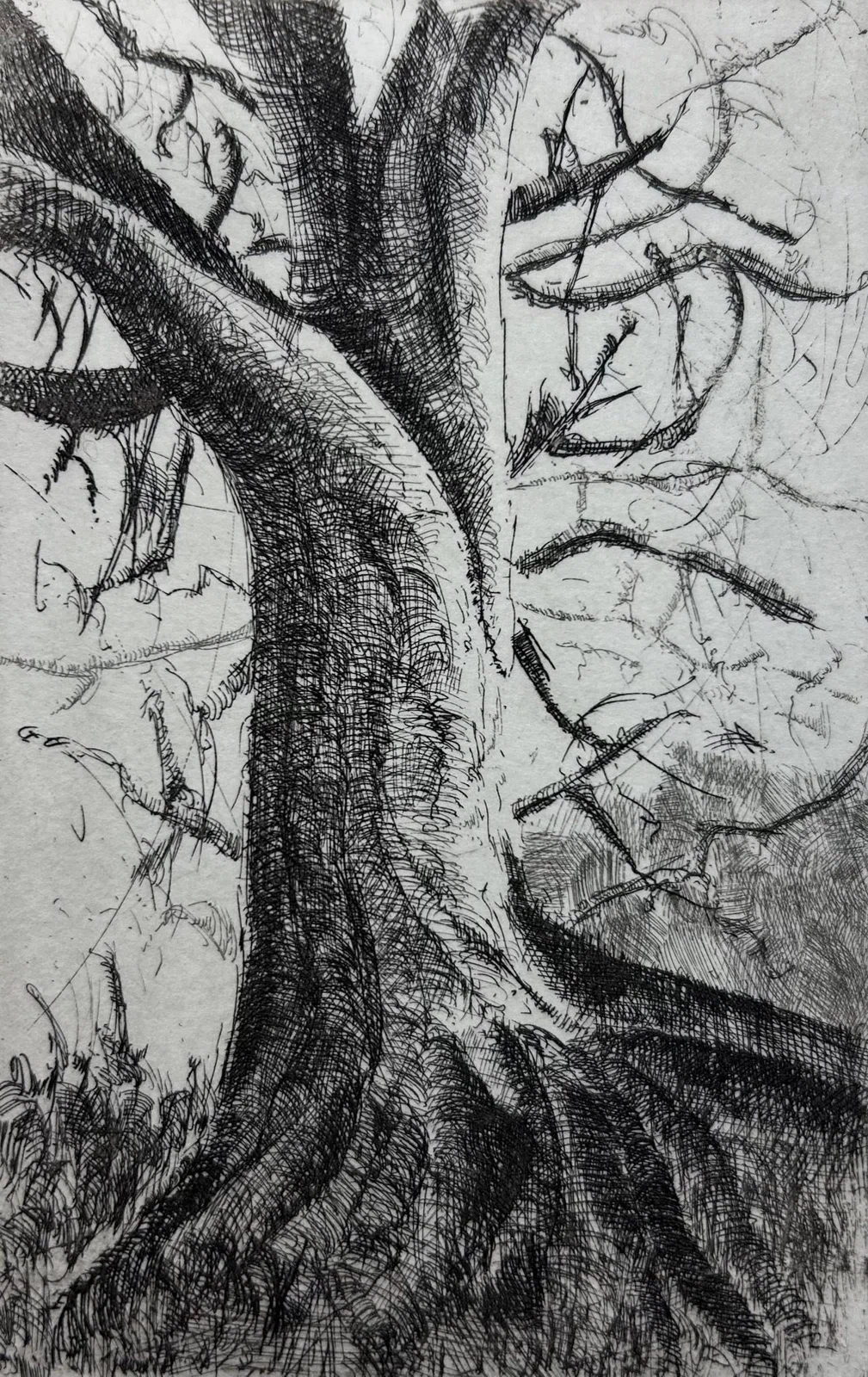 Arbol, grabado