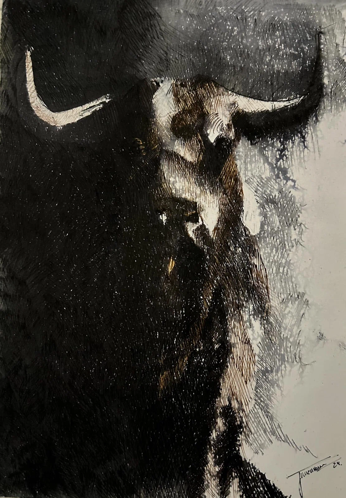 Toro, plumilla